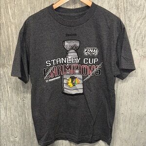 Reebok Chicago Blackhawks 2015 Stanley Cup Champions Tee - Gray Medium
